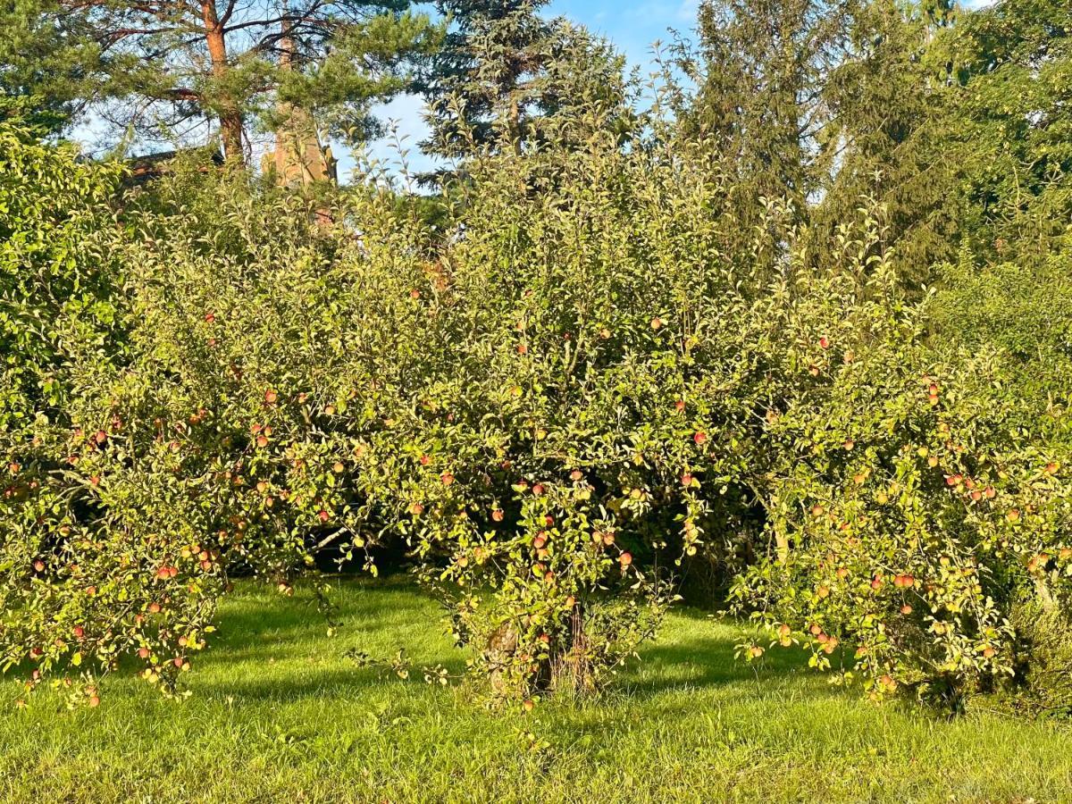 Вілла Apple Tree House Lubin  Екстер'єр фото